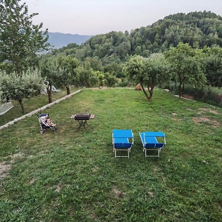 فيلا Vila Ella Căpăţîneni-Ungureni المظهر الخارجي الصورة
