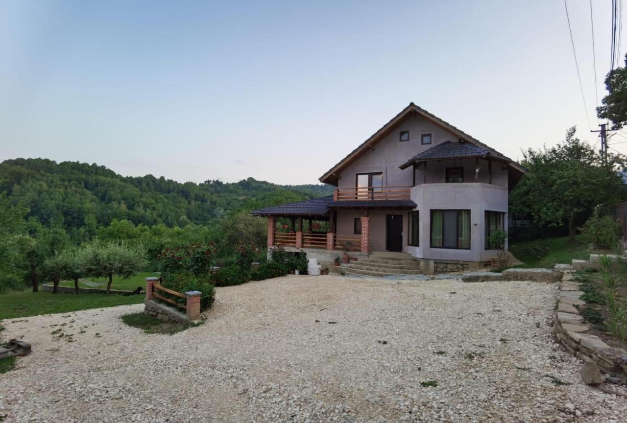 فيلا Vila Ella Căpăţîneni-Ungureni المظهر الخارجي الصورة